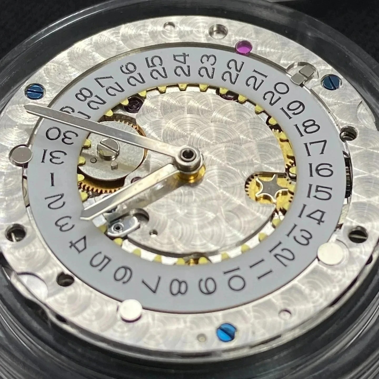 Movimiento de Reloj Mecánico d - Watch Winder Compact reseña y precio